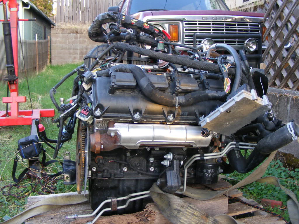 Name:  010-1.jpg
Views: 346
Size:  194.4 KB