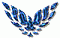 infinitebird's Avatar